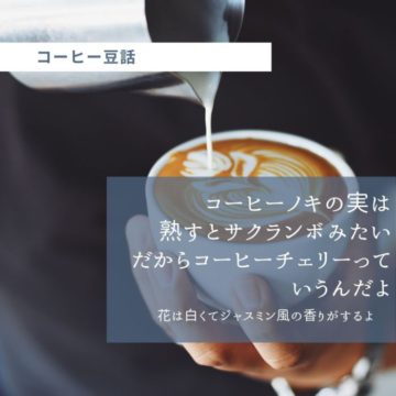 8/3のおすすめはオムライス！