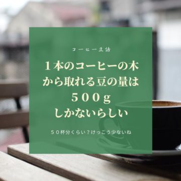 19日のおすすめ！焼きそば！