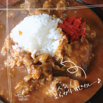 13日のランチは「牛すじカレー」！